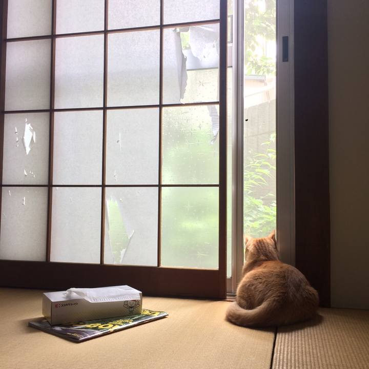 553ff1d8 eff5 47c3 a523 53509e044b57