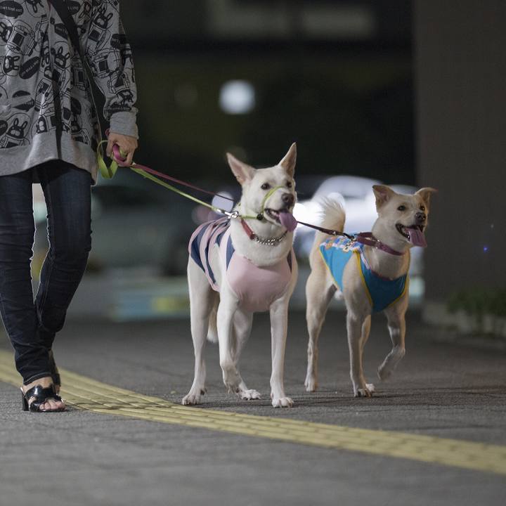 5540da62 5708 4cdf ab56 734ff2cb55c1