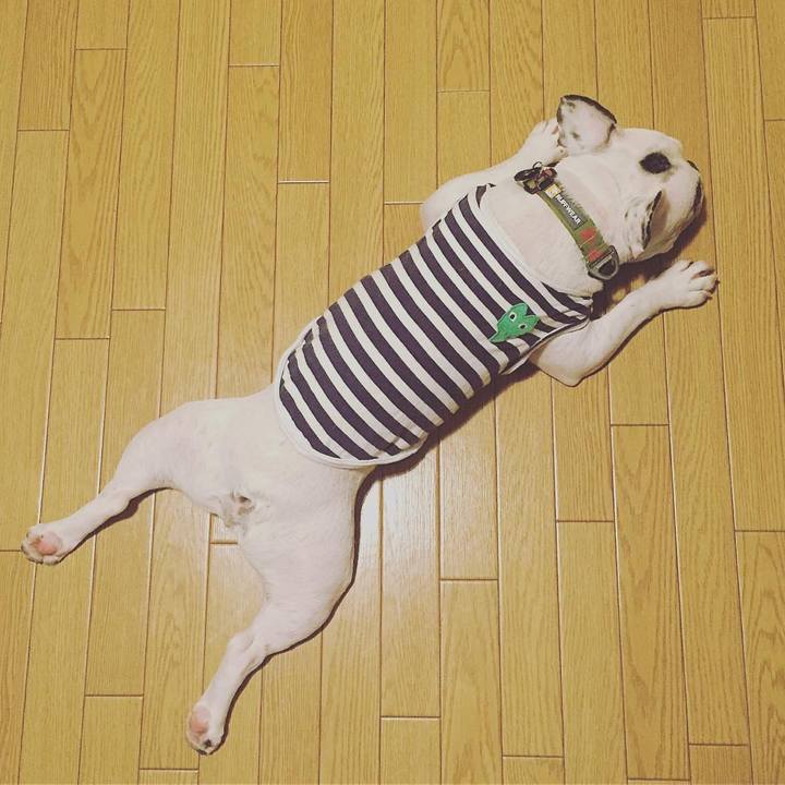 554106dd 8ab0 49e4 a4be a1ce1e2fc8d6