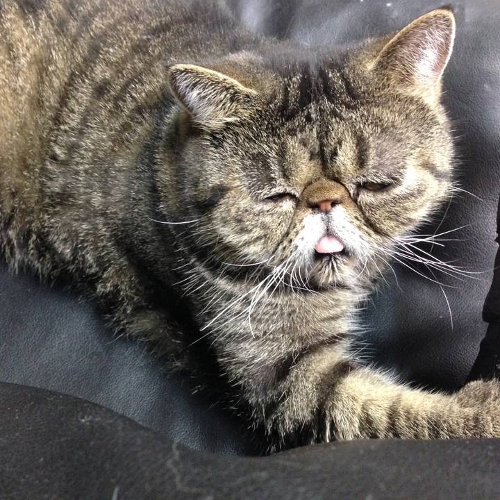 55411990 e7c9 4dd2 aef4 92ef8a8c9eed