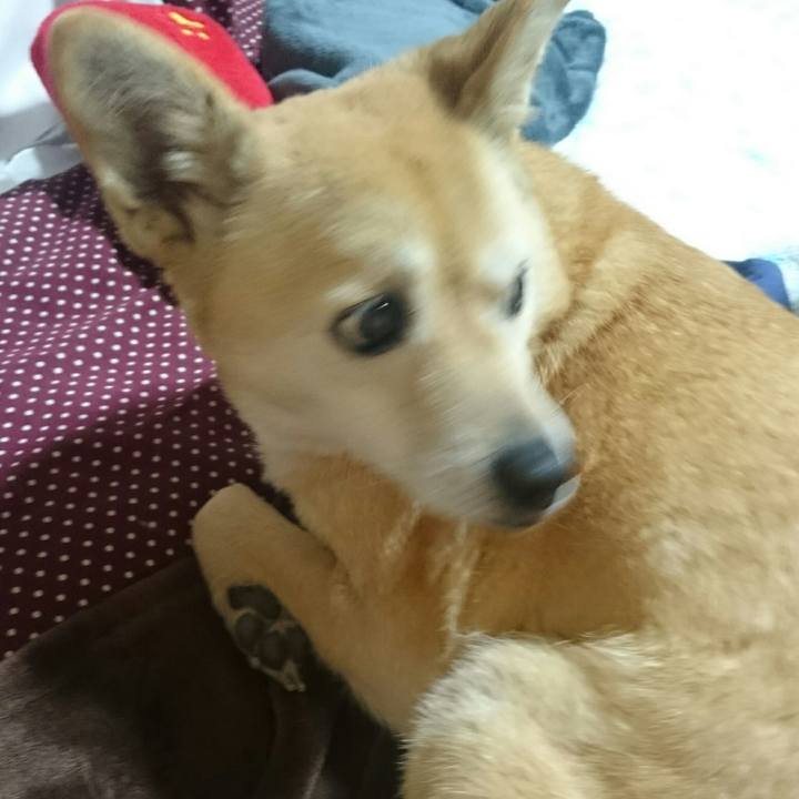 554168e6 449c 481a b6b0 ef8938cb5c65