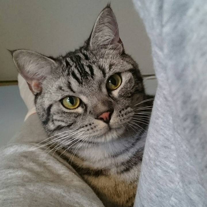 554174e1 6054 4771 b958 55ca48009c82