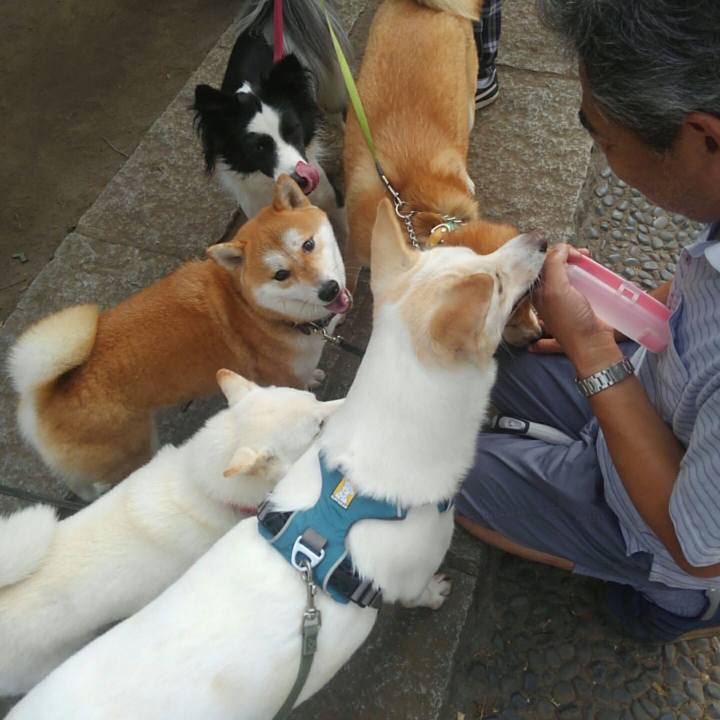 5541c7a2 b6ee 4de5 8b90 90e8ab785cea