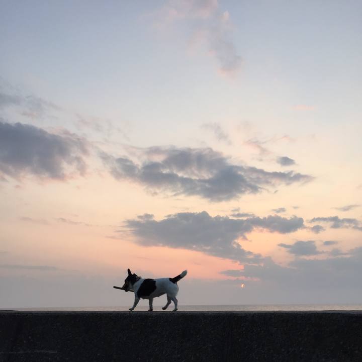 5541d739 c8c1 4570 8507 ae39a7b3d1e0