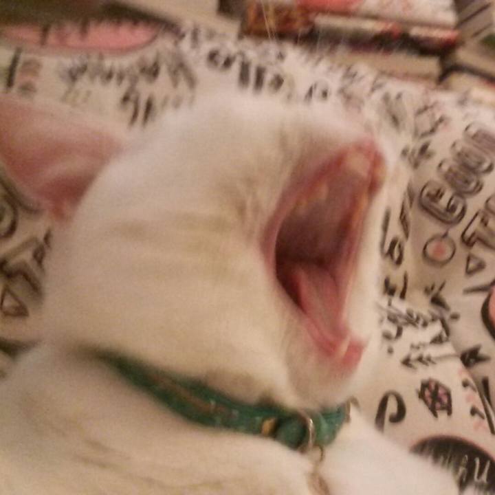 5542b74c f943 4804 8681 07ab751d3573