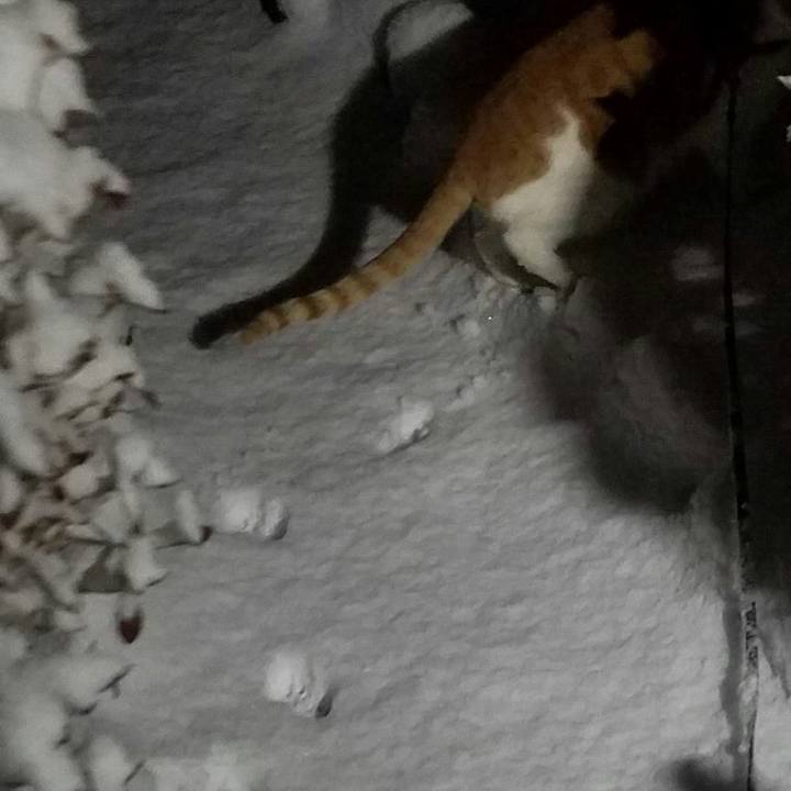 55432773 648e 44e7 a966 b176f731e410