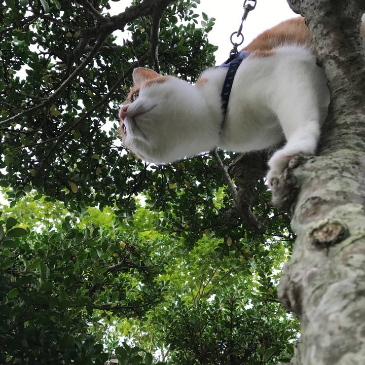 5543d44c d77f 4f98 a3e2 d78ce22ff938