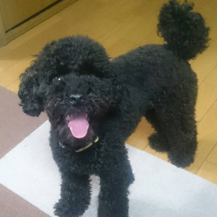 55445fdf b092 435e 83ba d65873341fde