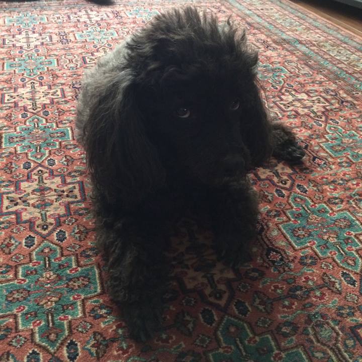 554461f3 6bdd 4e08 b7c8 9818b47fef4b