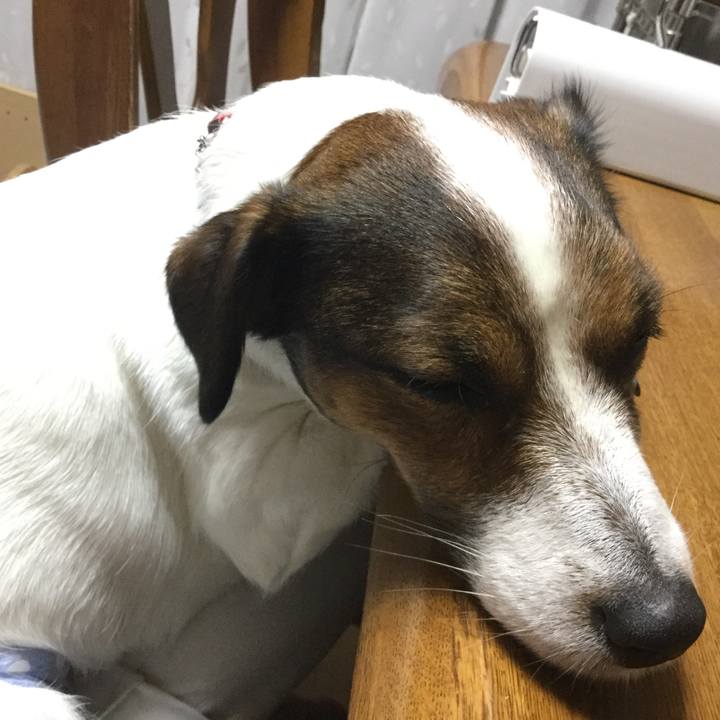 5544aaf9 098b 4fce 9e96 e1a9fe961086