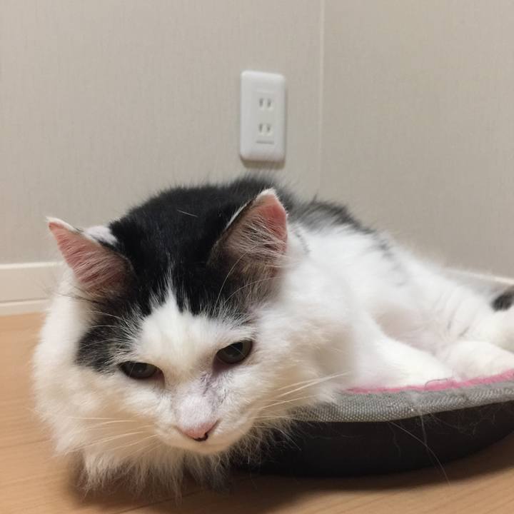 5544cb2b 8b48 48ec 8368 f9fa2b96bd0b