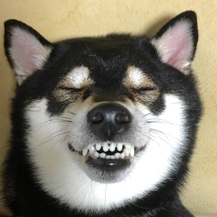 5545257a ddea 41f1 88d1 9ea3b7e51d5c