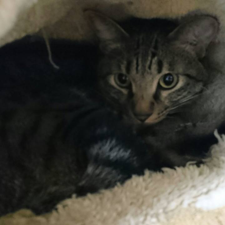 5545eb3b b3a7 4172 8437 6c01c30c83f9