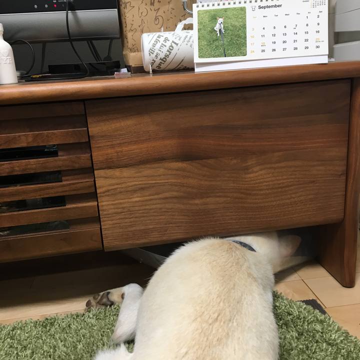 5545f2c1 3406 4a3a a3d4 e648bff25f67