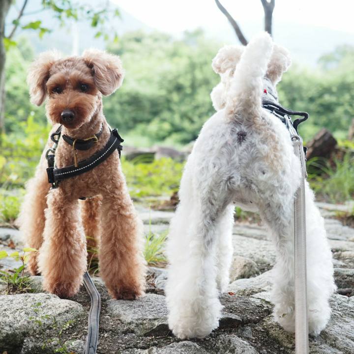 55463a9f ecb6 440f b5ac 945b18fb72f1