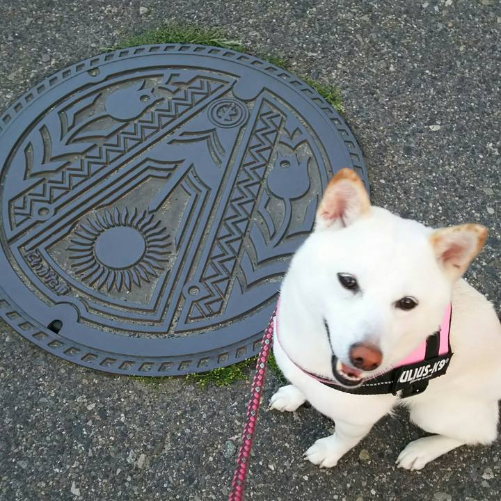 5546636a fc03 4ad1 8cab dc6562ac8c8c