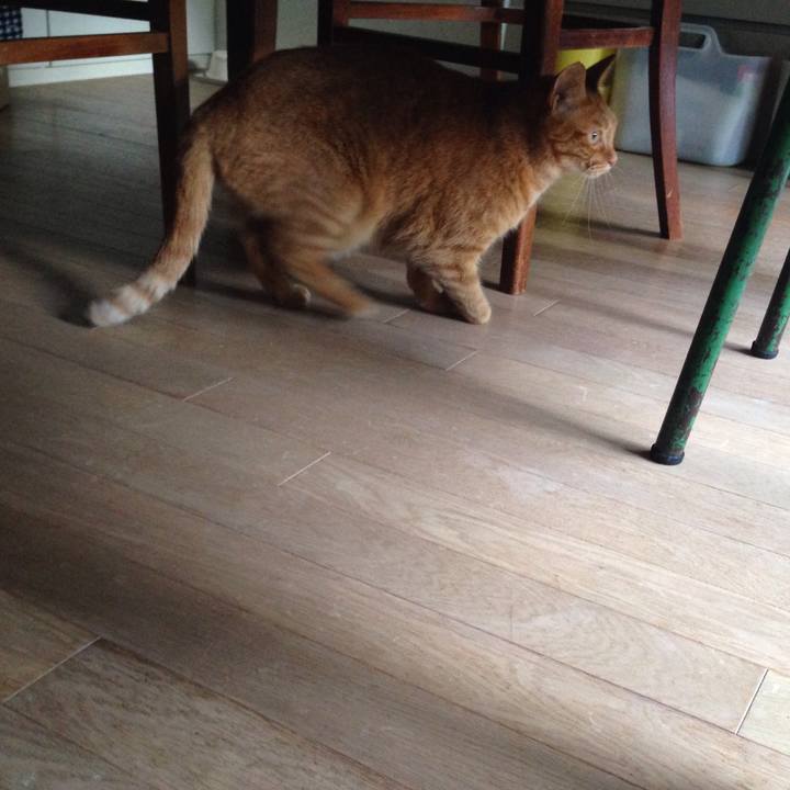 5546c045 0731 445f b613 08623d4a9650