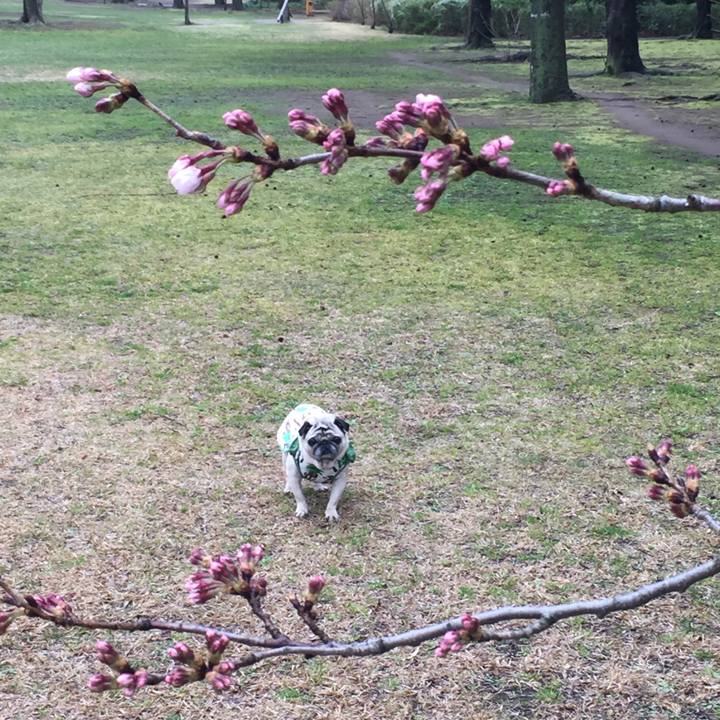 5546dabd a37f 492d ad77 6d8868cd25d4