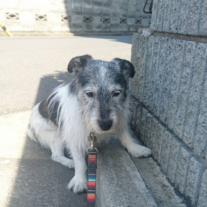 55470dff 2bea 40a5 be81 ea1f02ec4ca5