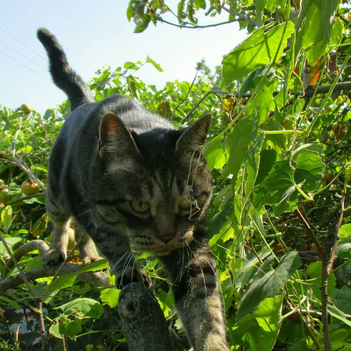 55473425 f930 420a 9562 53dc0f4af043