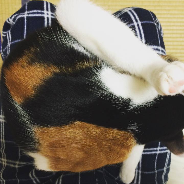 55477041 2efe 48eb b52d 06d2438cd588