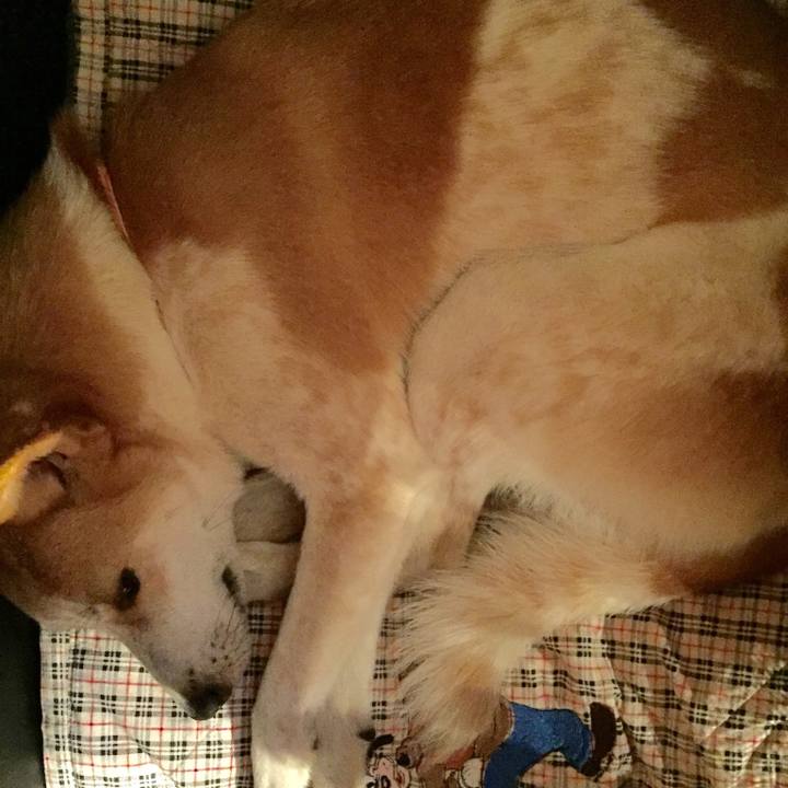 5548f1dc 7192 453f 8138 50651f359484