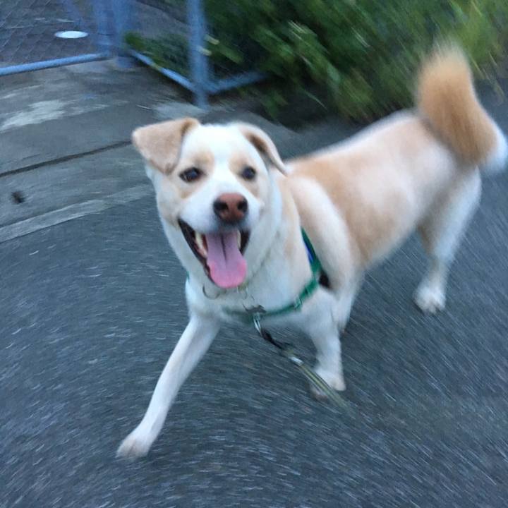 5549decd 2e4f 484c af95 e13df96725c4