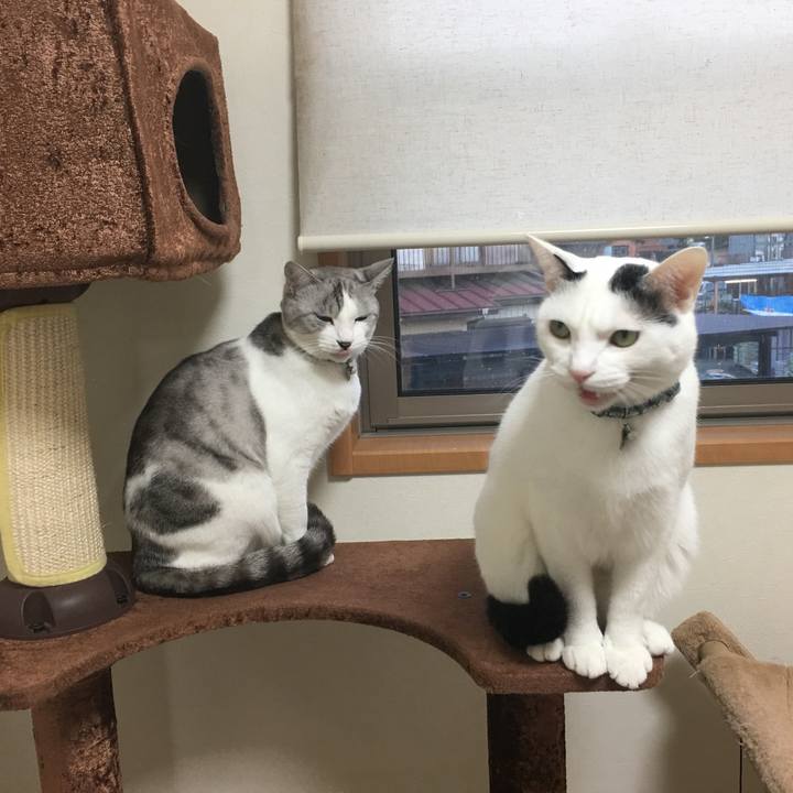 5549e939 aaa8 4342 8bae 4a488f692923