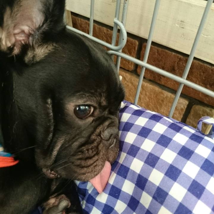 554a17f7 fbd2 4950 a7c9 07e5b86a7220