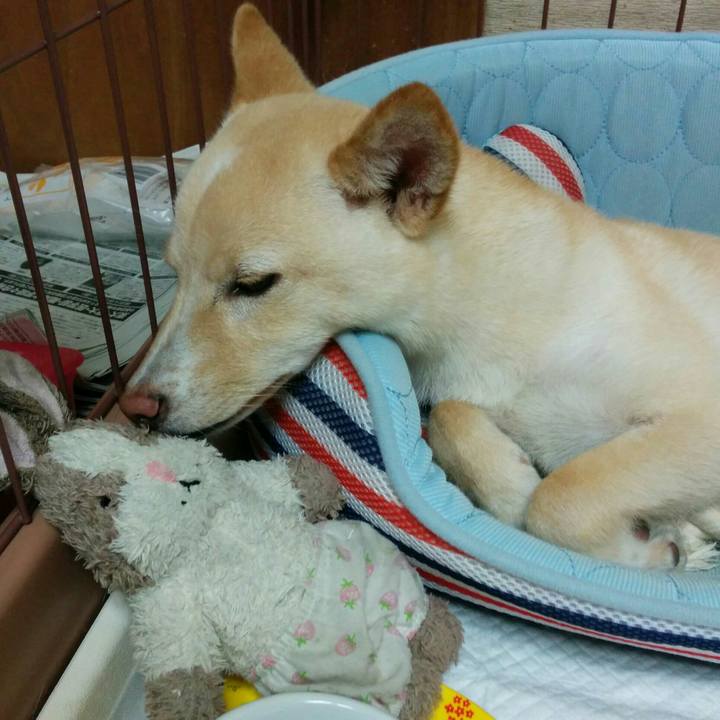 554aabb7 7ac7 4476 b541 eae0ee61dd03