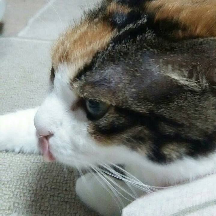 554acb7e bda5 49c7 befd 482c9da5d0f9