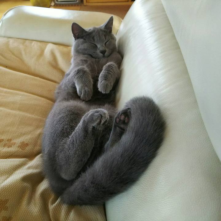 554b18be ed1f 4c14 beaa 7b899e031060