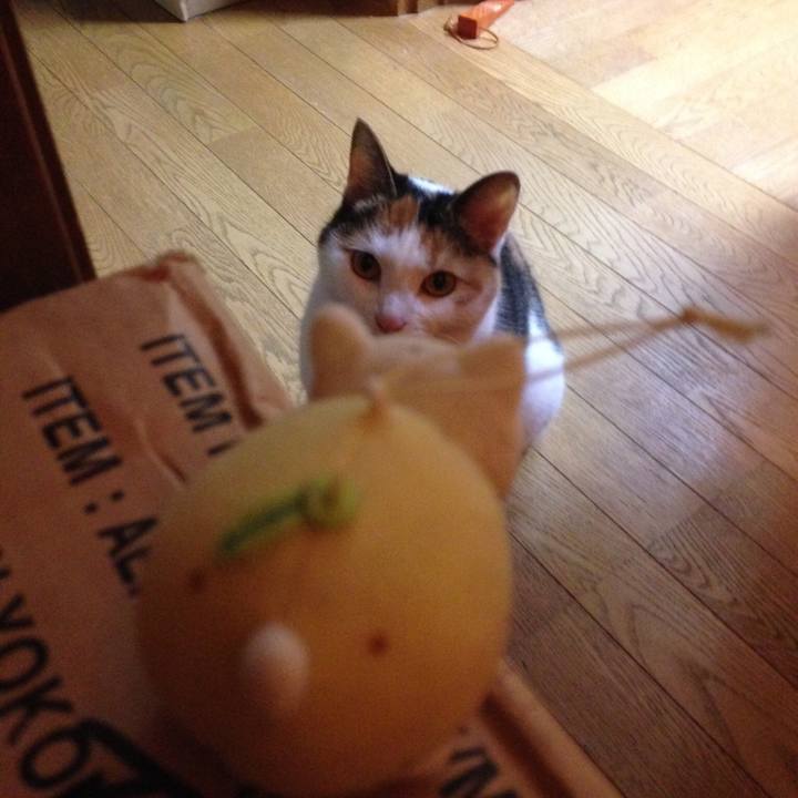 554bcf65 733c 497f 8c6f 986cb0e7e303