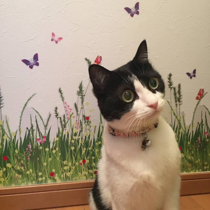 554c3e51 3a99 4677 beab 93899206dbca