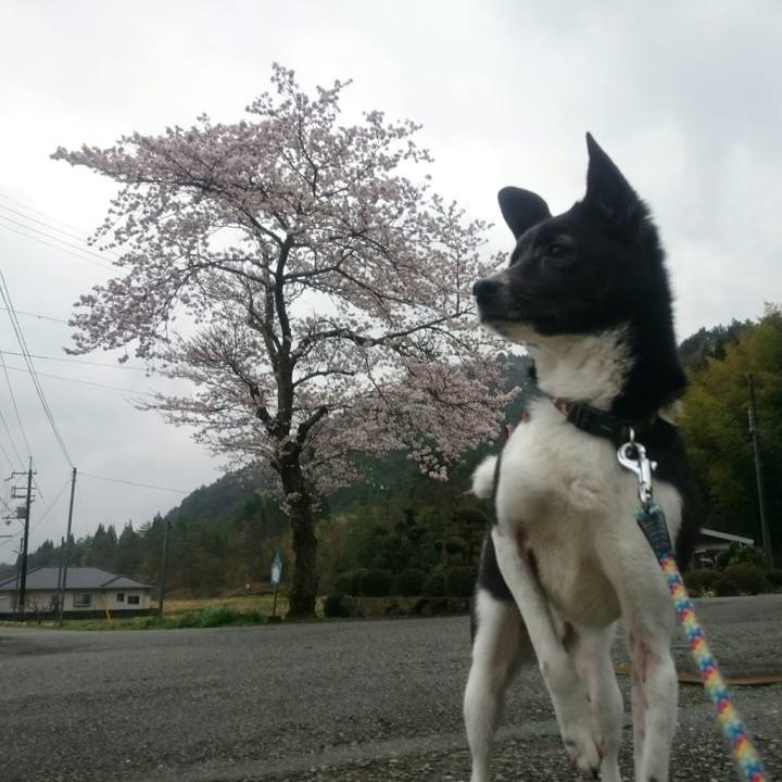 554ce728 435d 4ab1 a08c 90ff8982bfae