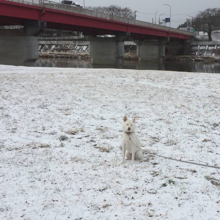 554d0c0b c5f6 481b 9ee4 48339685ae1d