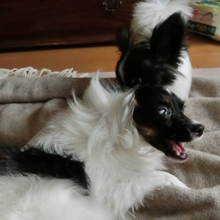 554d14a7 d521 4bc4 9e01 62a22adac429