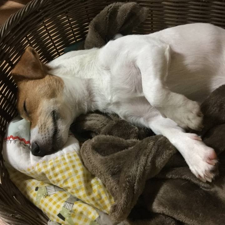 554d3ca0 4cb6 4d7d a390 bcfc13ed0eda