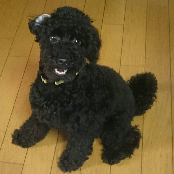 554d7c05 9f96 4db1 9a65 c3fd0c8d9e04