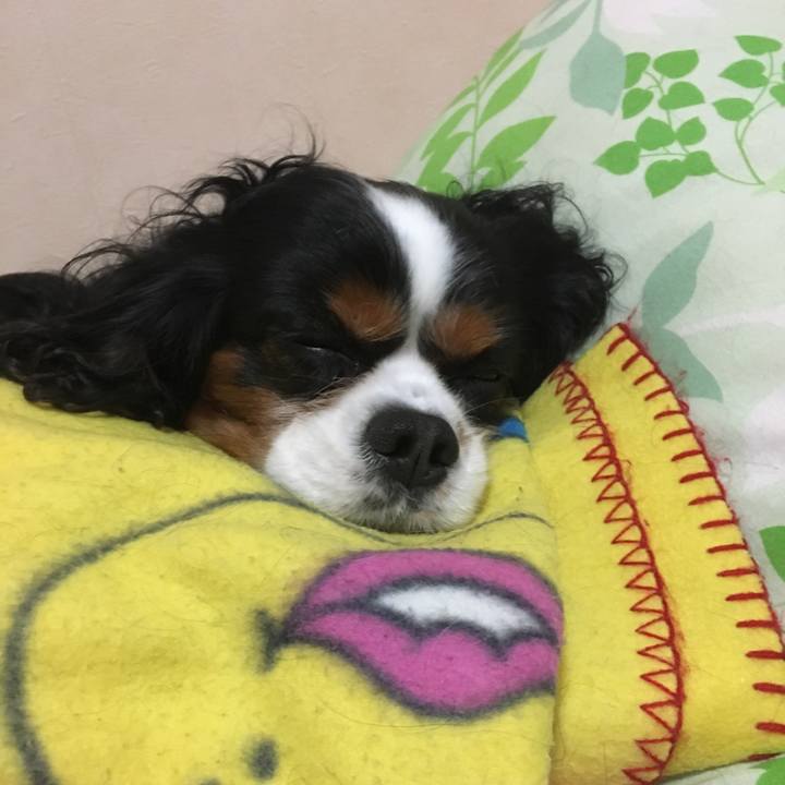 554da1d3 adb5 4e5d 8d17 477525a64786