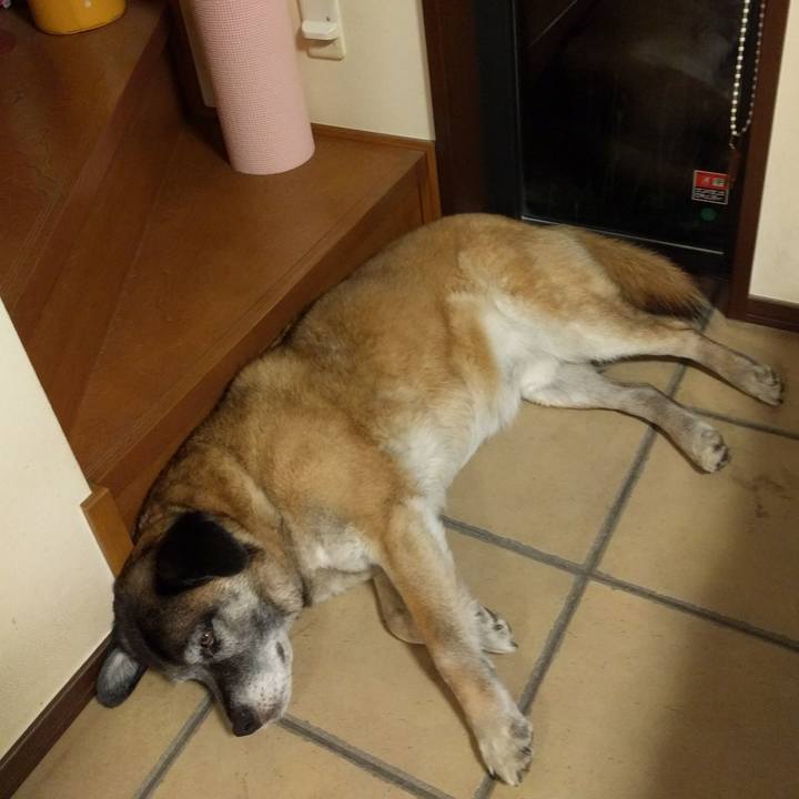 554ddaba 327d 4766 ab93 36e46e9d11eb