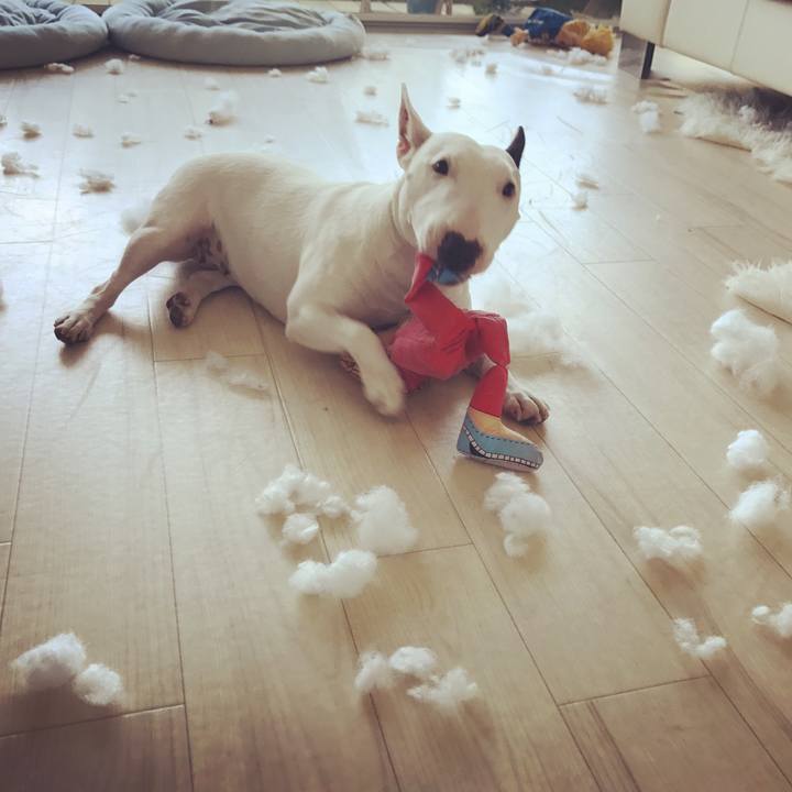 554de73b 15ae 430a 8ae0 0addc70f2e1c