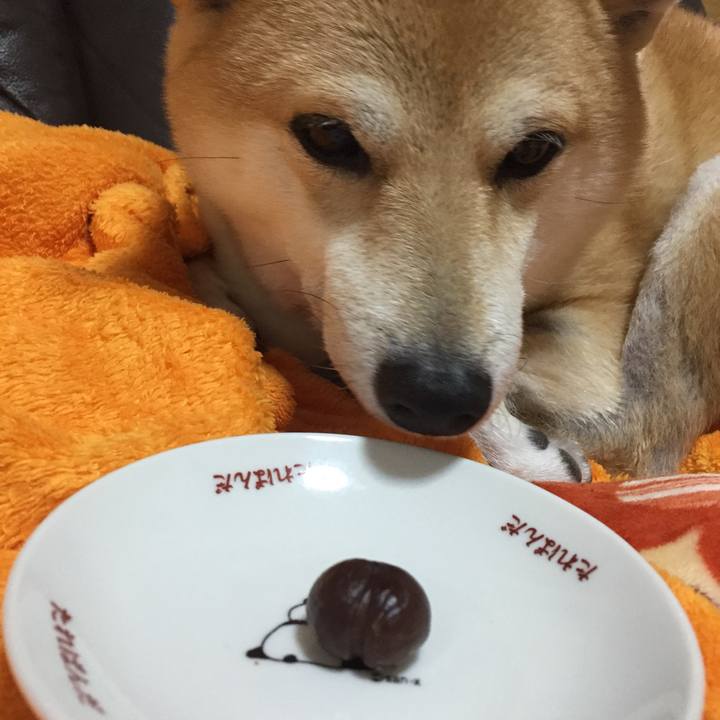 554e4531 81e0 47a4 9503 527cbc07d002