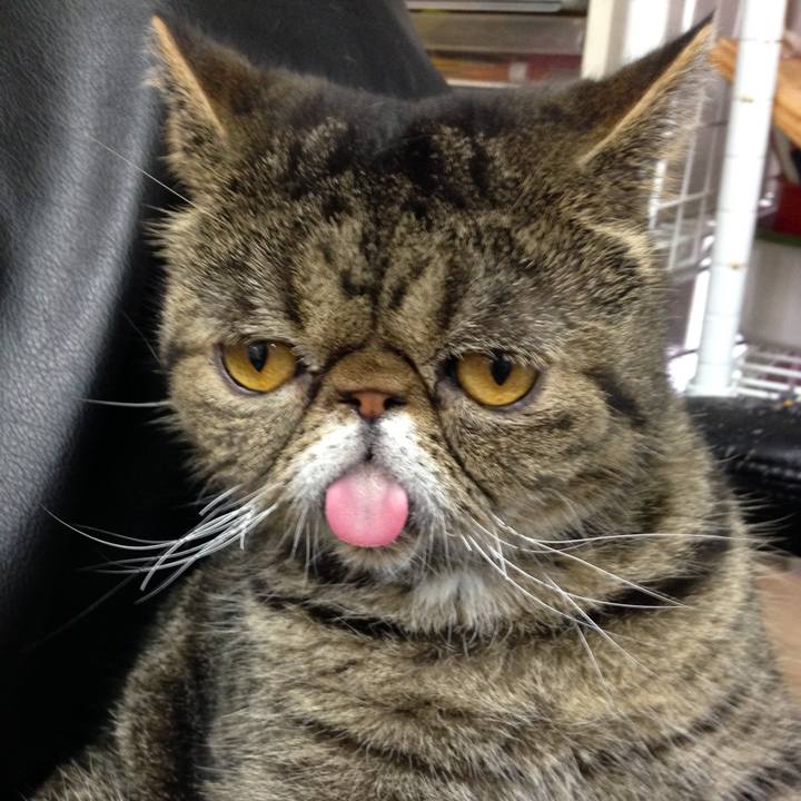 554e4ac5 c50a 4138 94de 0b05ba63ba30