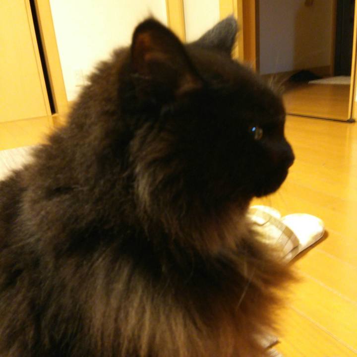 554e7ce0 db3d 4a2f 9dcd e4e5b8e40eea