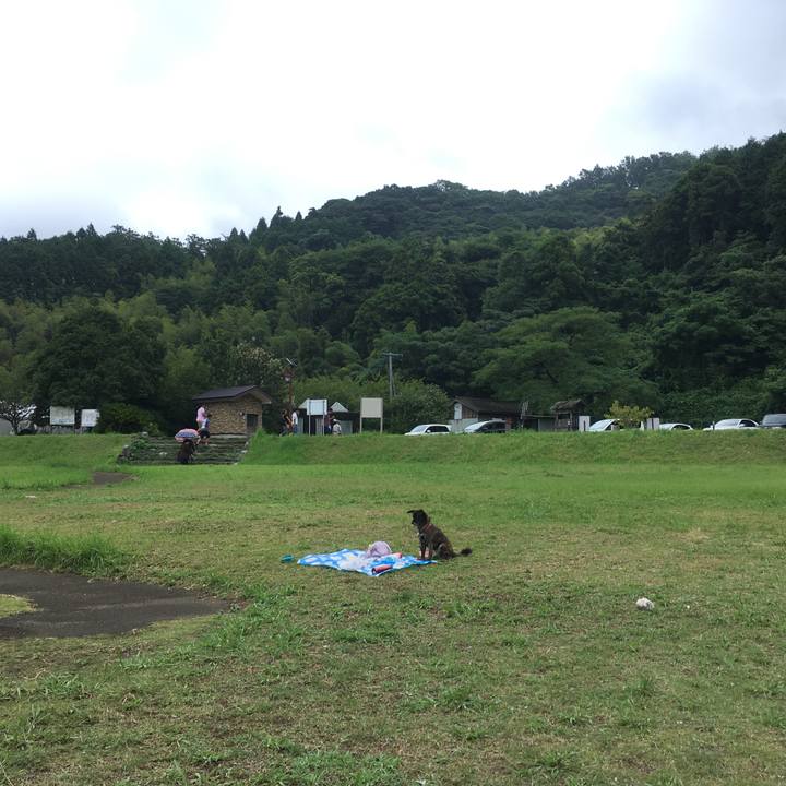 554e9233 32fe 461f a044 d87dd5676b61