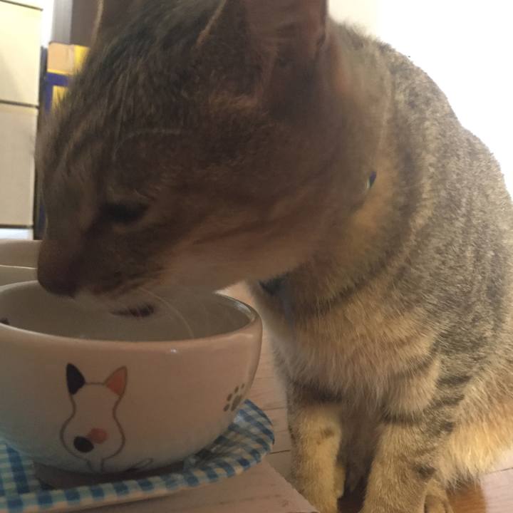 554ec5ec 2dec 4e13 8909 b07a70e42624