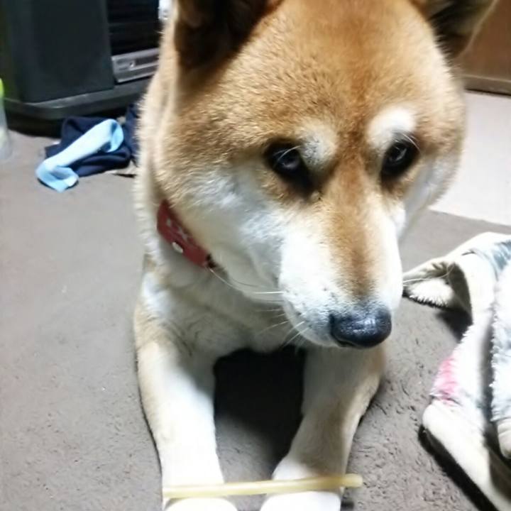 554ee1ab 71b7 489f 90c1 95b133a02570