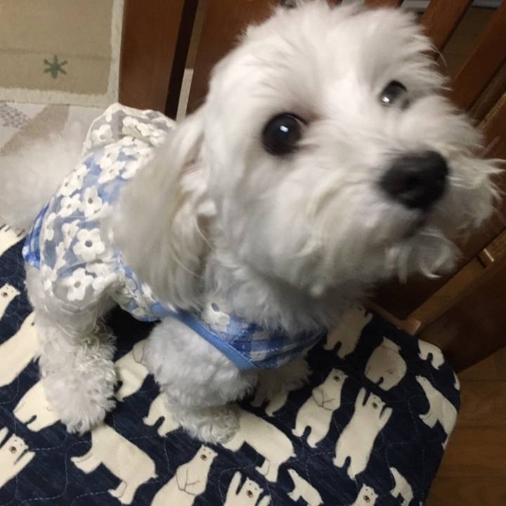 554f0a7e 64ce 483b b2d0 c731b9c842e3