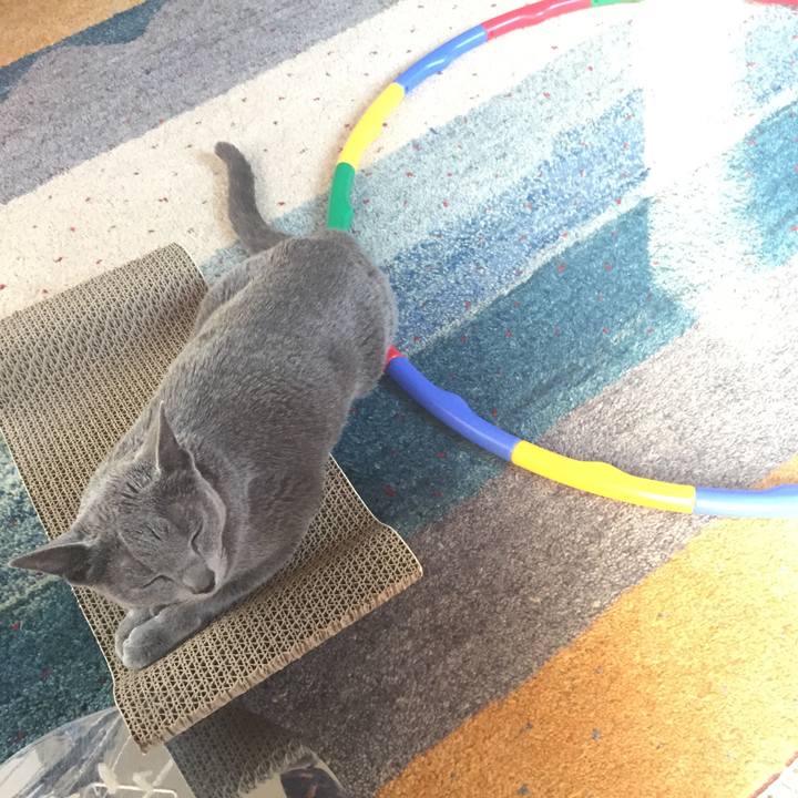 554f2810 d25f 47ef b092 04a466b3103b